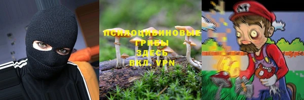 тгк Иннополис