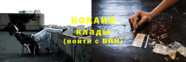 винт Инта