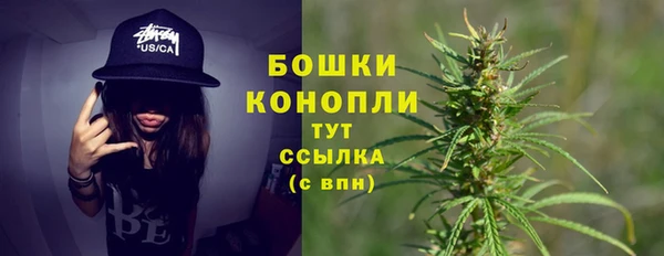 ECSTASY Каменногорск