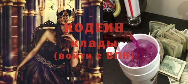 винт Инта