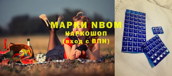 винт Инта