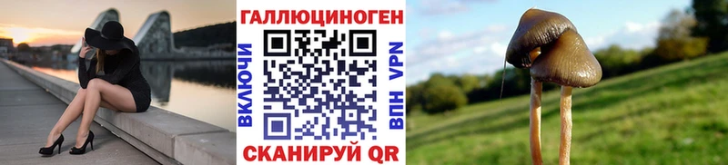 Псилоцибиновые грибы Cubensis  закладка  Ростов 